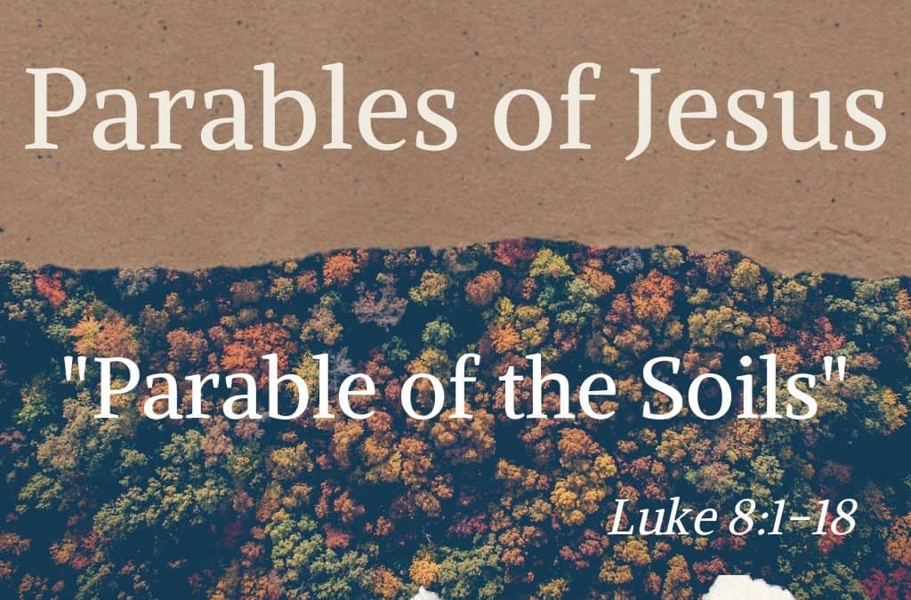 Parable Of The Soils