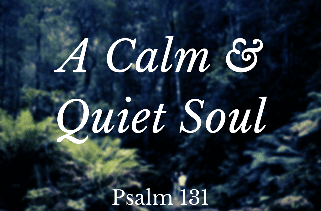 A Calm and Quiet Soul