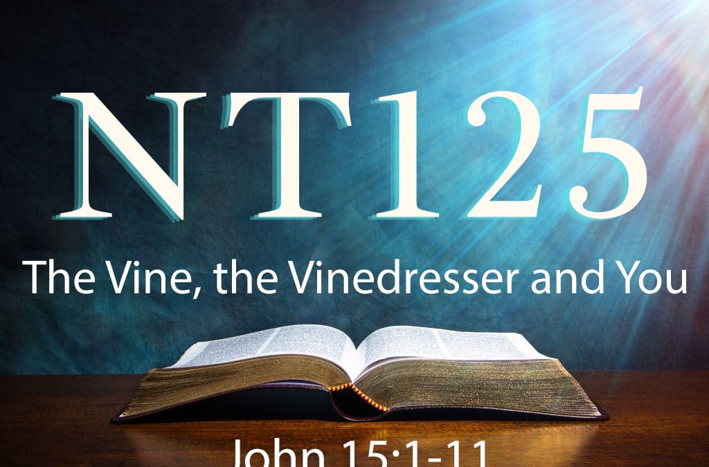 The Vine, the Vinedresser and You