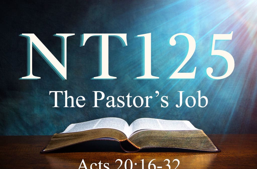 The Pastor’s Job