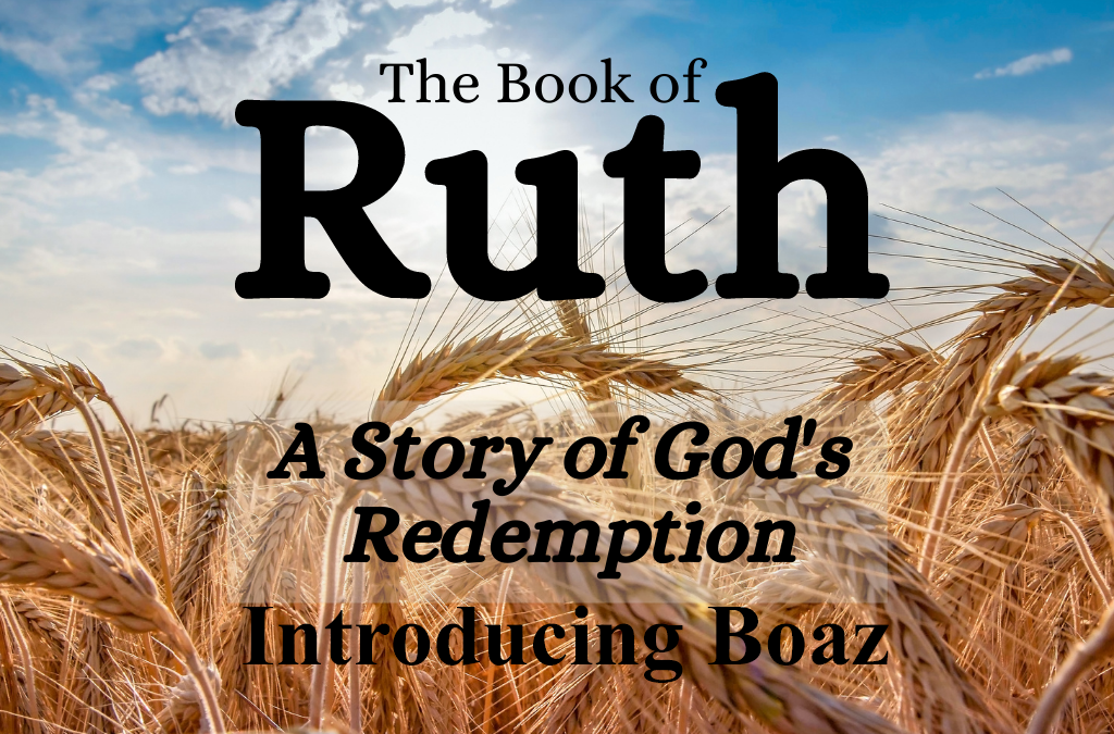 Introducing Boaz