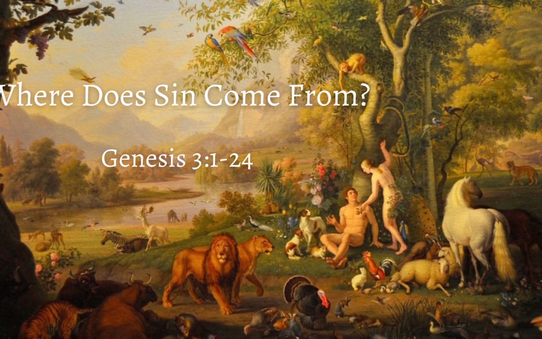 Where Does Sin Come From?