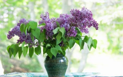 Of Lilacs and Remembrances