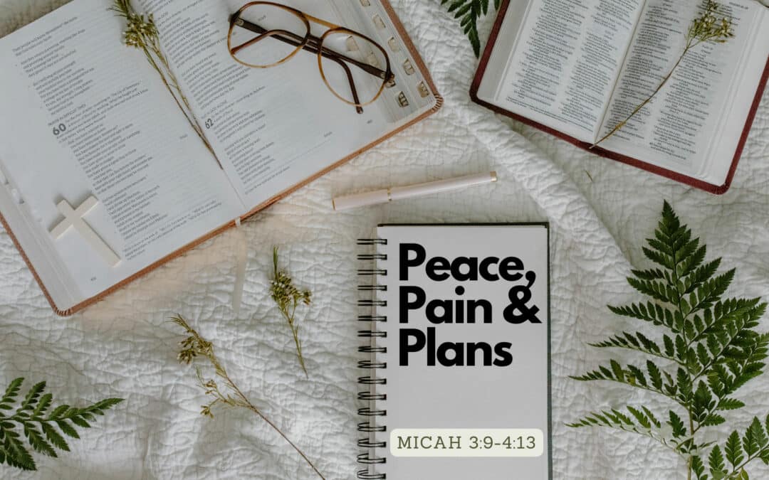 Peace, Pain & Plans