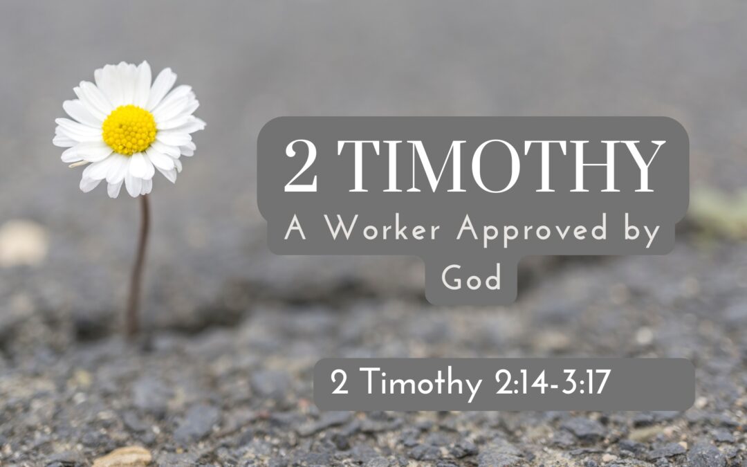 A Worker Approved by God