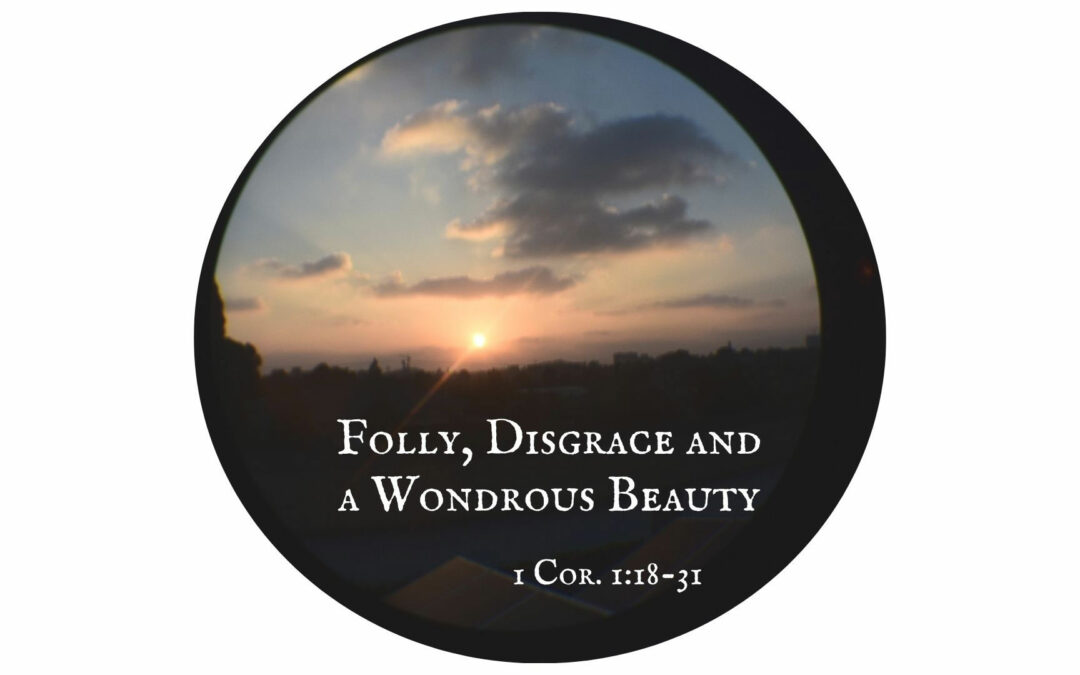 Folly, Disgrace and a Wondrous Beauty